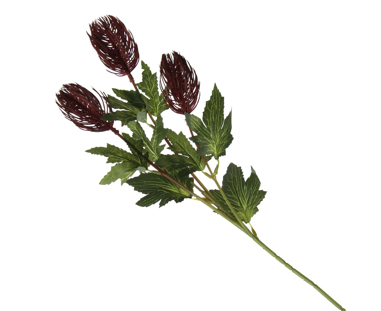 Triple Head Red Banksia Spray