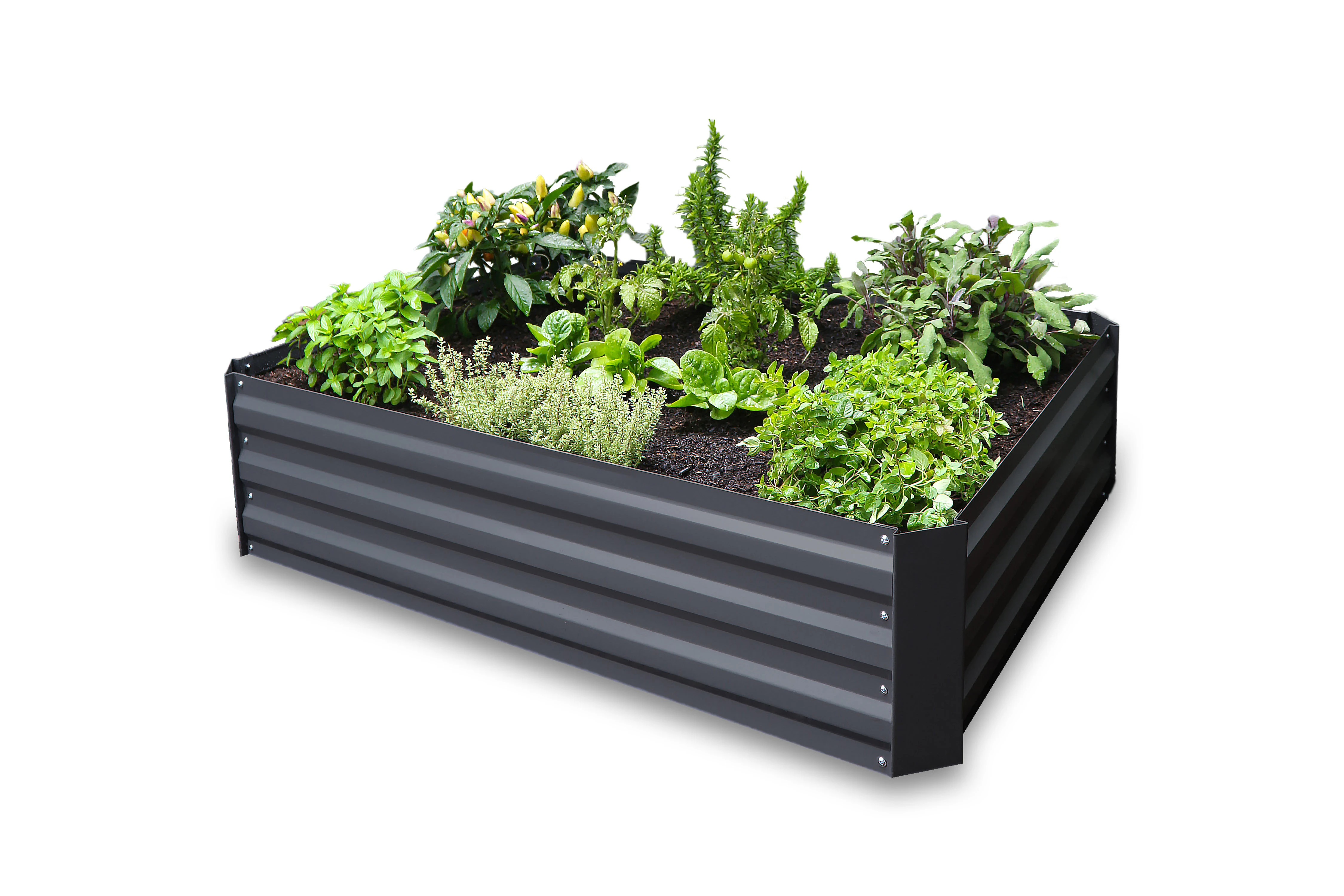 Greenlife Raised Garden Bed - 1200 x 900 x 300mm - Charcoal