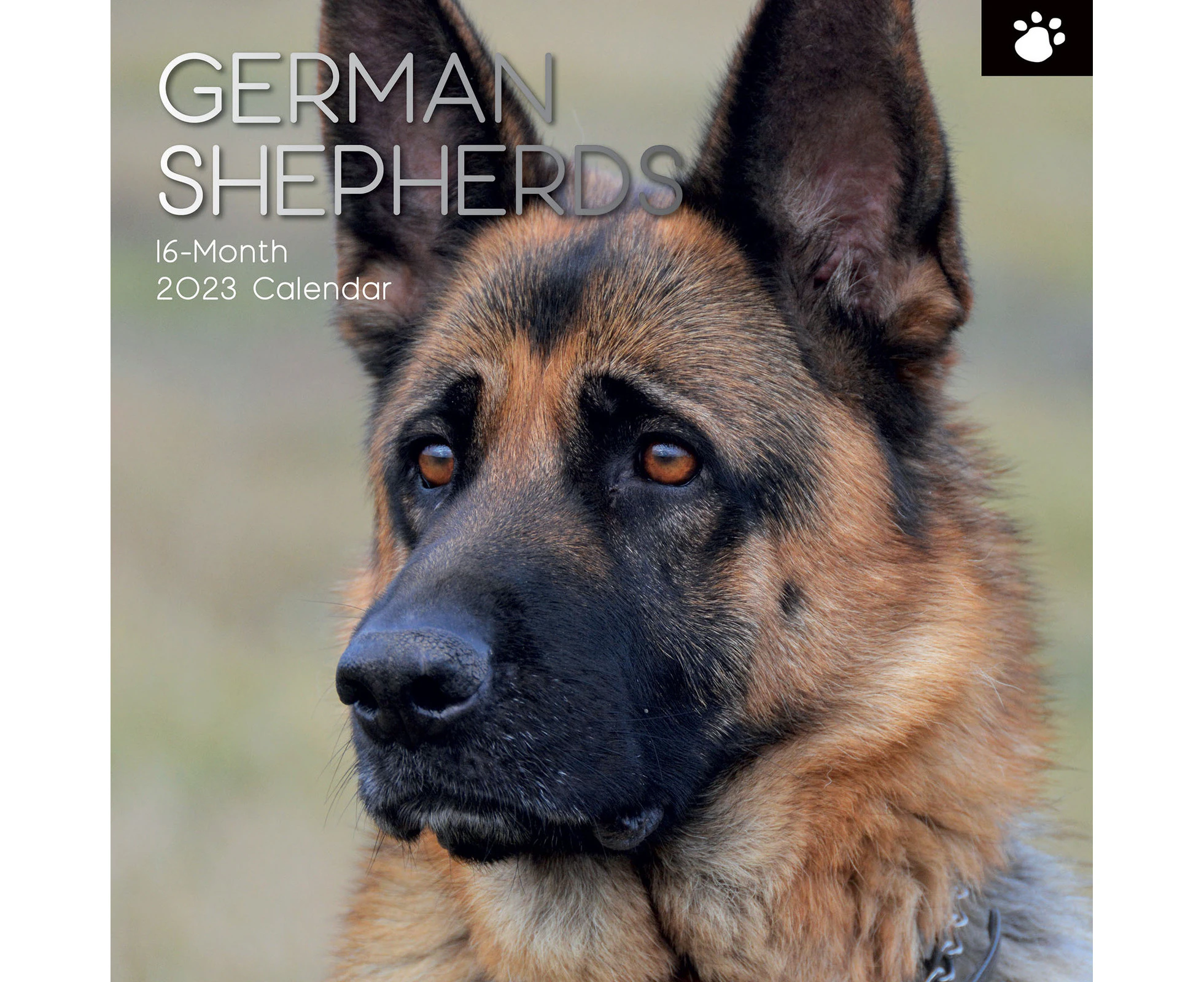 2023 Calendar German Shepherds Square Wall by The Gifted Stationery GSC21952