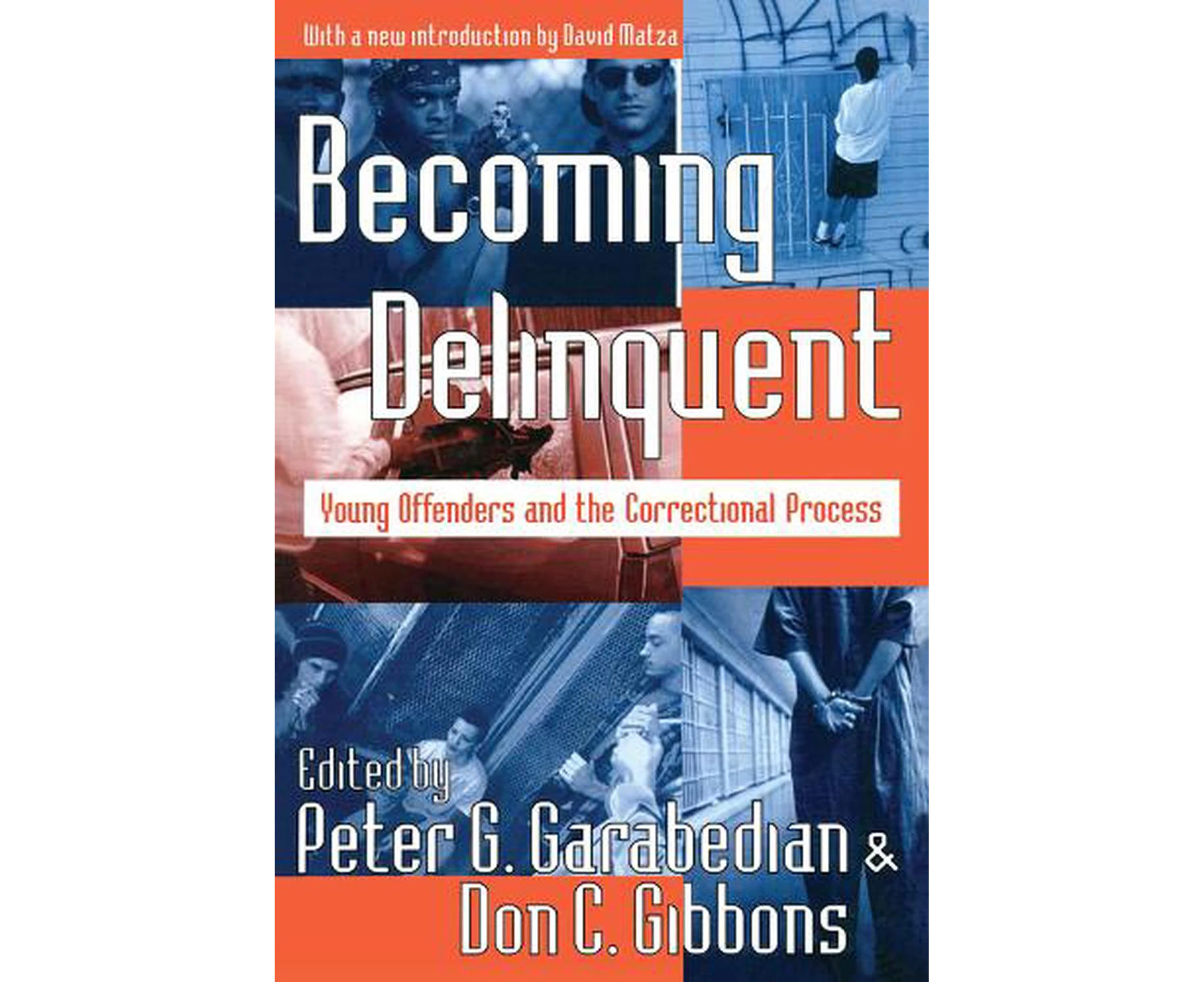 Becoming Delinquent: Young Offenders and the Correctional Process