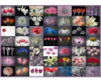 Schmidt - Floral Greetings Puzzle 2000pc
