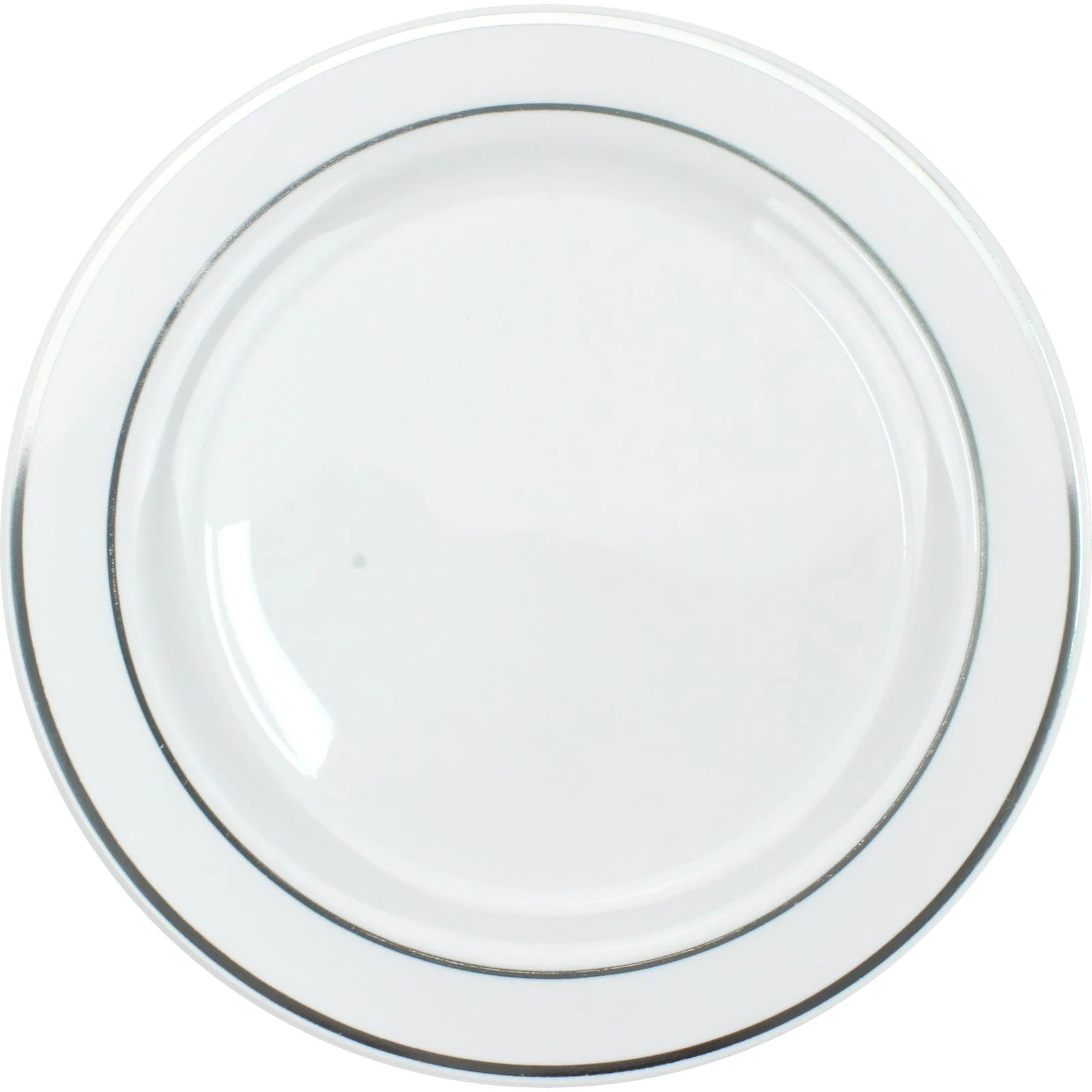 Silver Dual Trim Large Plastic Plates (Pack of 6)