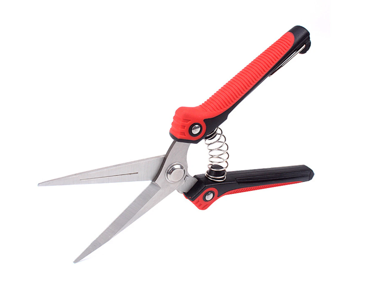 Gardening Hand Pruner Pruning Shear with Straight Stainless Steel Blades, Ultra Sharp Garden Scissors for Flowers,Trimming Plants