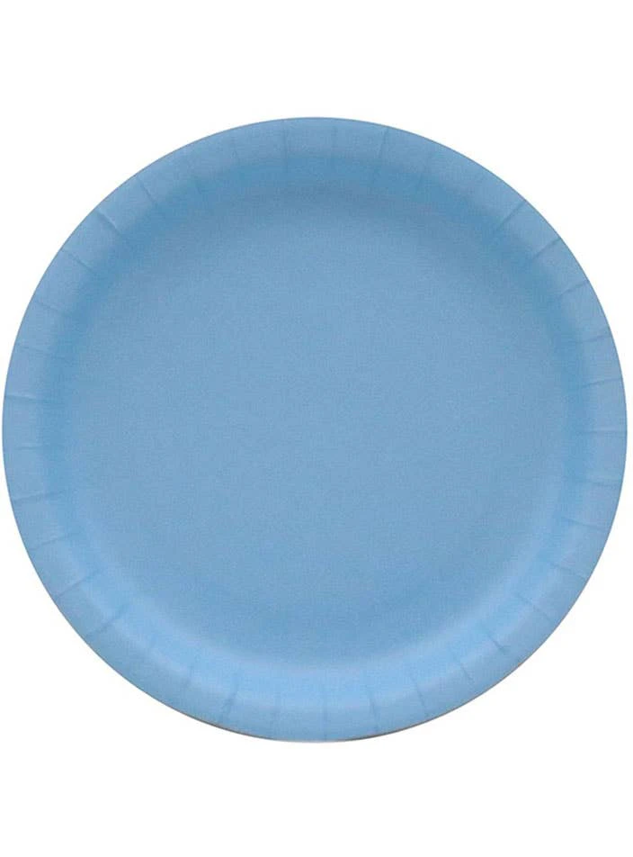 Sky Blue 10 Pack 23cm Paper Plates-New