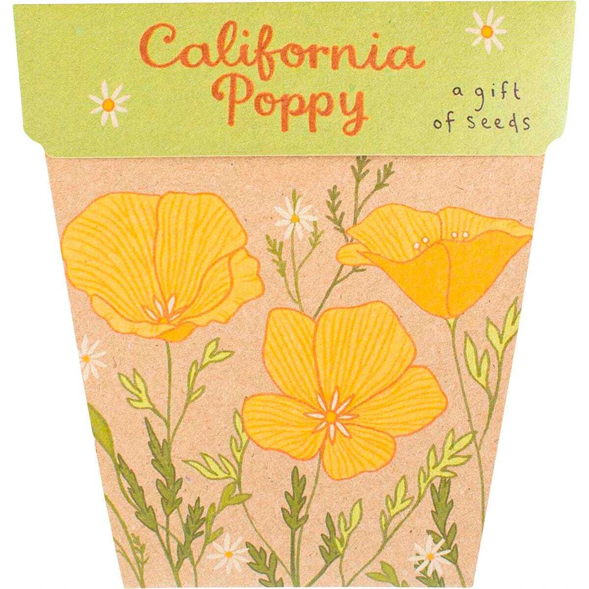 A Gift of Seeds - California Poppy