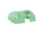 vidaXL Greenhouse with Steel Frame Green 24 m¬≤ 6x4x2 m