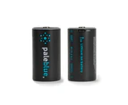 2pc Paleblue Fast Charging Lithium Ion D USB Rechargeable Smart Batteries