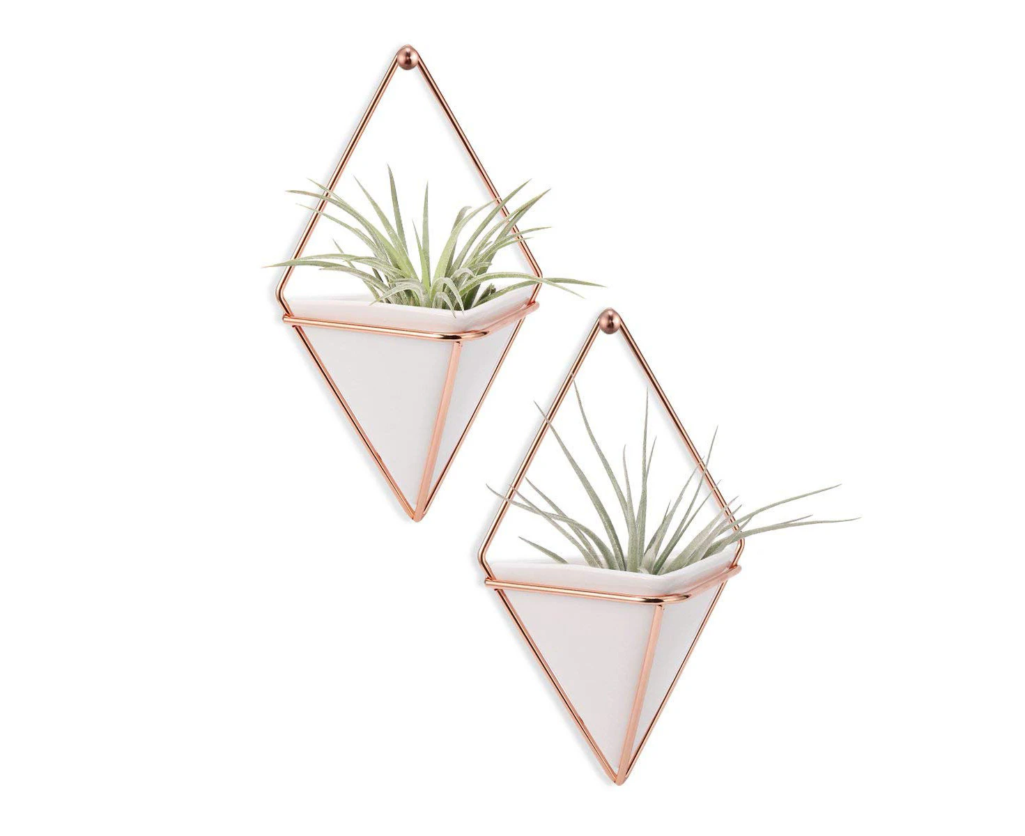 Hanging Vase, Air Plants Pots,Hanging Wall Decor,Plant Holder,Hanging Plant for Air Plants/Succulents/Cactus Plants/Office Plants/Artificial Plant -2 Pack-