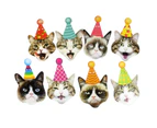 Birthday Cat Garland, Photographic Cat Faces Birthday Banner, Kitties Bday Party Bunting Decoration (8 Pcs)