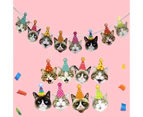 Birthday Cat Garland, Photographic Cat Faces Birthday Banner, Kitties Bday Party Bunting Decoration (8 Pcs)