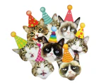 Birthday Cat Garland, Photographic Cat Faces Birthday Banner, Kitties Bday Party Bunting Decoration (8 Pcs)