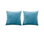 2 Pack Throw Pillow Covers, Sofa Pillows, Soft Velvet Pillow Case, Square Accent Cushion Covers for Sofa Couch Bed , 45*45cm