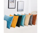 2 Pack Throw Pillow Covers, Sofa Pillows, Soft Velvet Pillow Case, Square Accent Cushion Covers for Sofa Couch Bed , 45*45cm