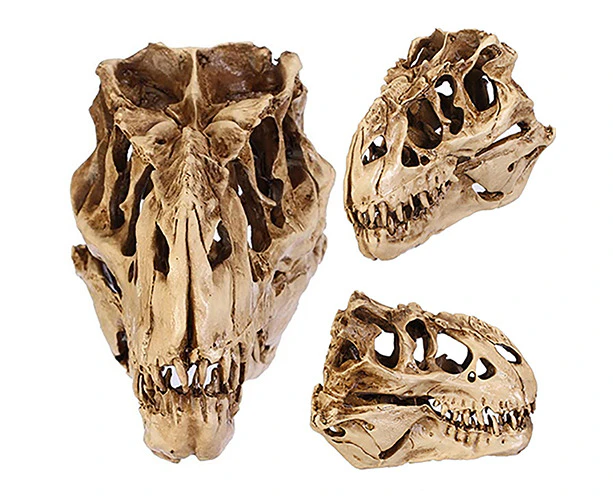 Resin Crafts Dinosaur Tooth Skull Fossil Teaching Skeleton Model Halloween Decor