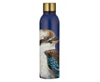 Ashdene Stainless Steel 500ml/24cm Modern Birds Kookaburra Drink Bottle w/ Lid