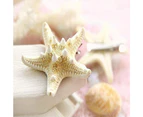 2 Pcs Starfish Hair Clip Resin Beach Sea Star Hair Pins Mermaid Hair Clips Accessories for Women and Girls