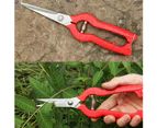 Professional Stainless Steel Straight Blade Secateurs for Flower Arranging, Plants, Fruit Harvesting (65mm Blade Length)