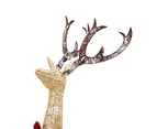 vidaXL Reindeer Family Christmas Decoration Gold 201 LEDs