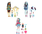 Monster High Core Doll - Assorted*