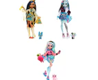 Monster High Core Doll - Assorted*