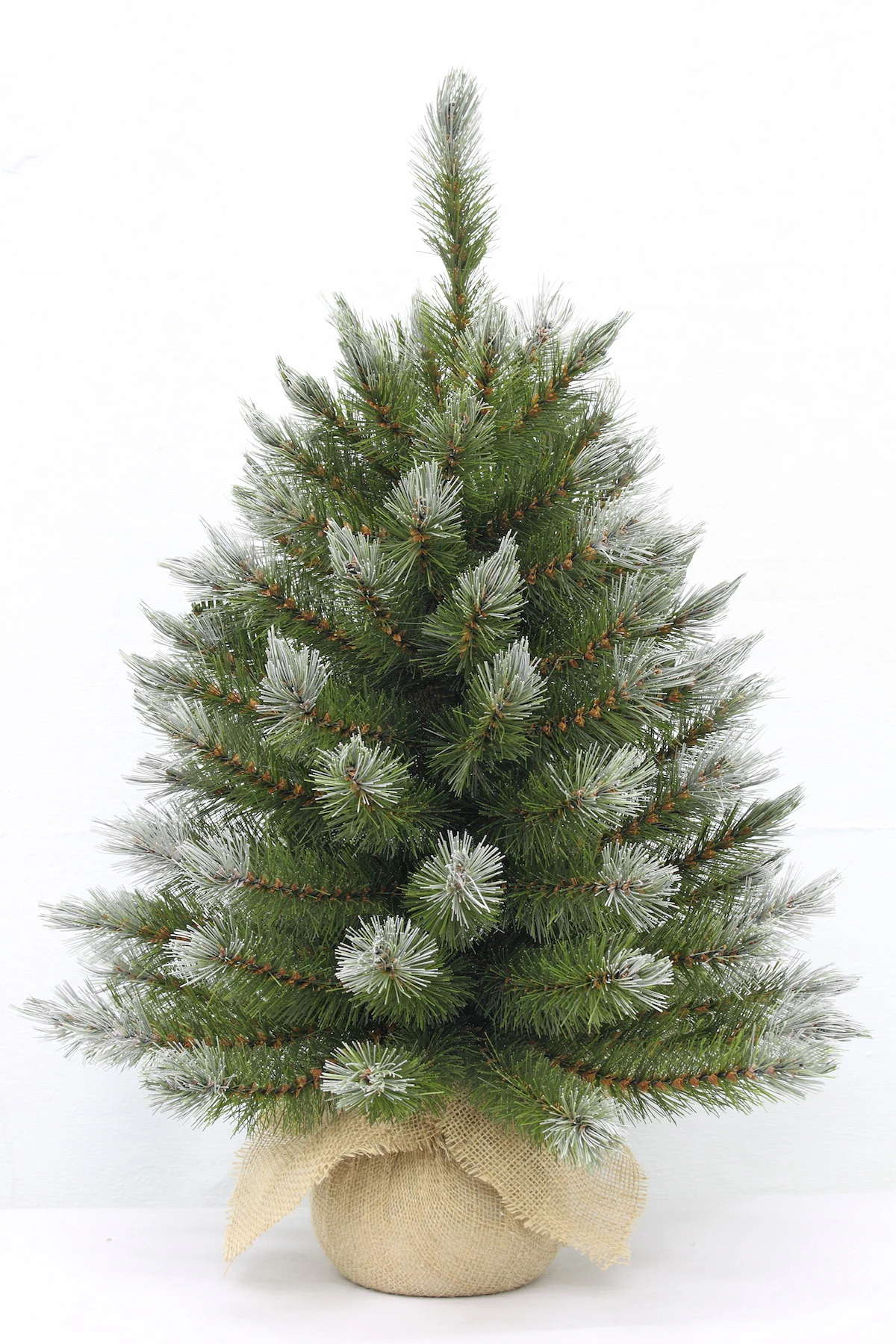 2ft Pittsburgh Spruce Christmas Tree Green Frosted 61cm in Burlap base