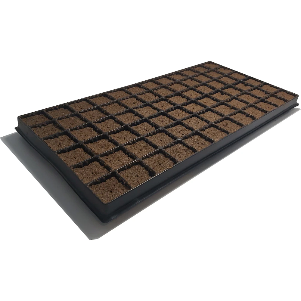 Nutrifield Coco Plug 72 Tray