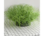 10Pcs/Set Realistic Artificial Grass Exquisite Vivid Plastic Delicate Simulation Grass for Home-Light Green