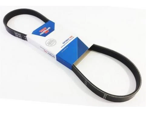 Accessory Drive Belt