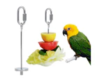 Parrot Stainless Steel Fruit Fork Spear Stick Meat Skewer Bird Feeder