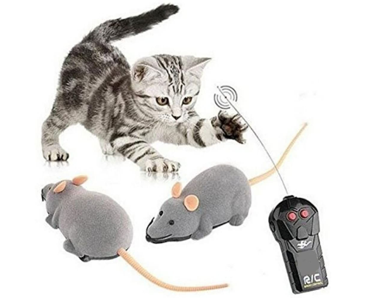 Remote control mouse cat toy australia shop