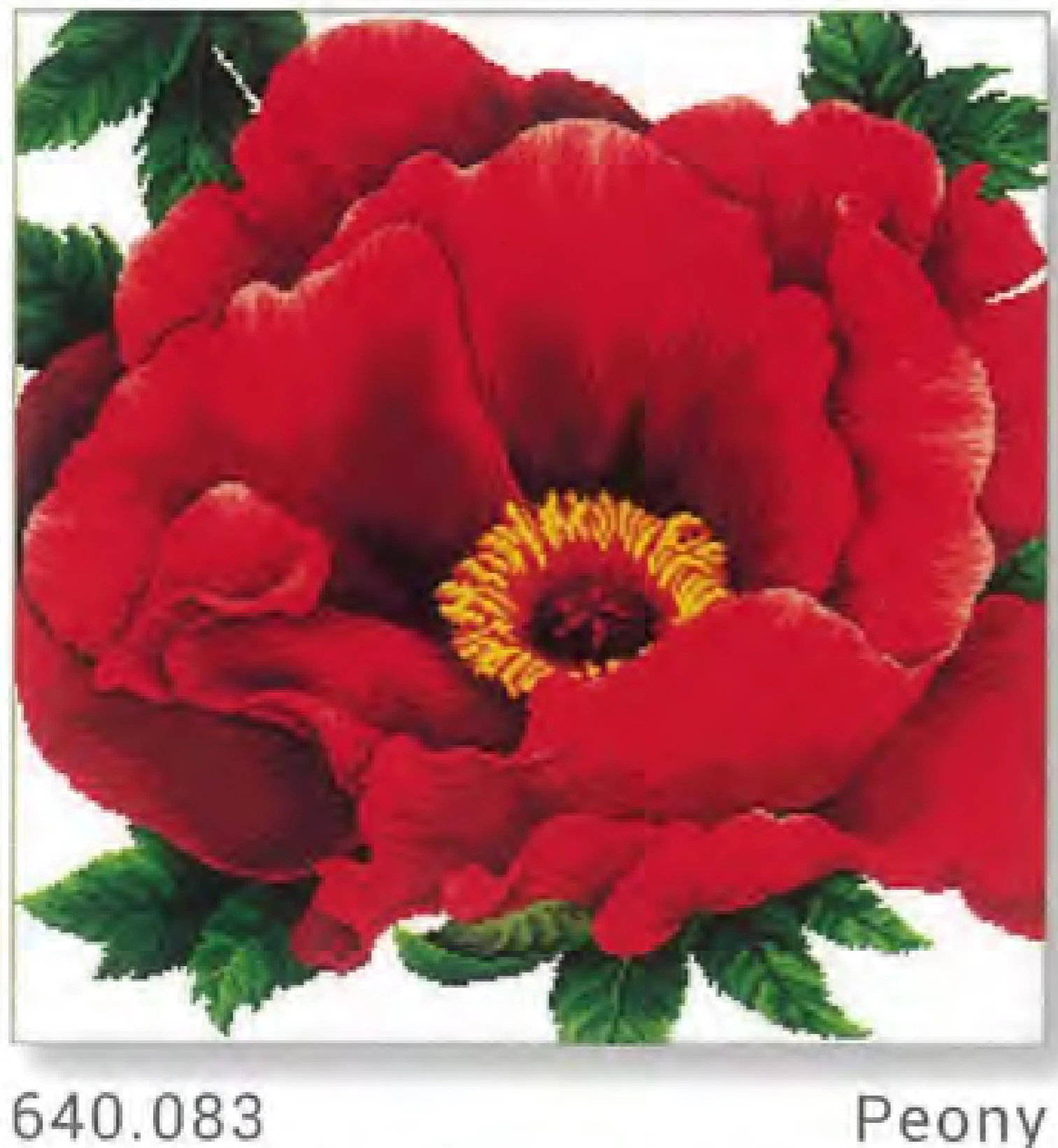 PEONY No Count Cross Stitch Kit, 40 x 40cm on 14 count aida, by Needleart World