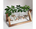 Glass Vases Wooden Stand Hanging Terrarium Container Hydroponics Pot Vase Decor - 1pc