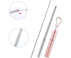 Drinking Straws Reusable Telescopic Stainless Steel Metal Straw Foldable - Red