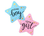 Gender Reveal Baby Shower Party Games Team Boy or Girl Stickers Vote Favours