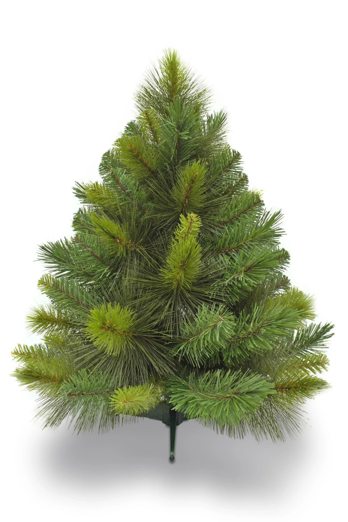 2ft Ponderosa Pine Christmas Tree 61cm