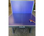 XuShaoFa 19mm Full Size Table Tennis Table Ping Pong Table with 50mm Metal Frames