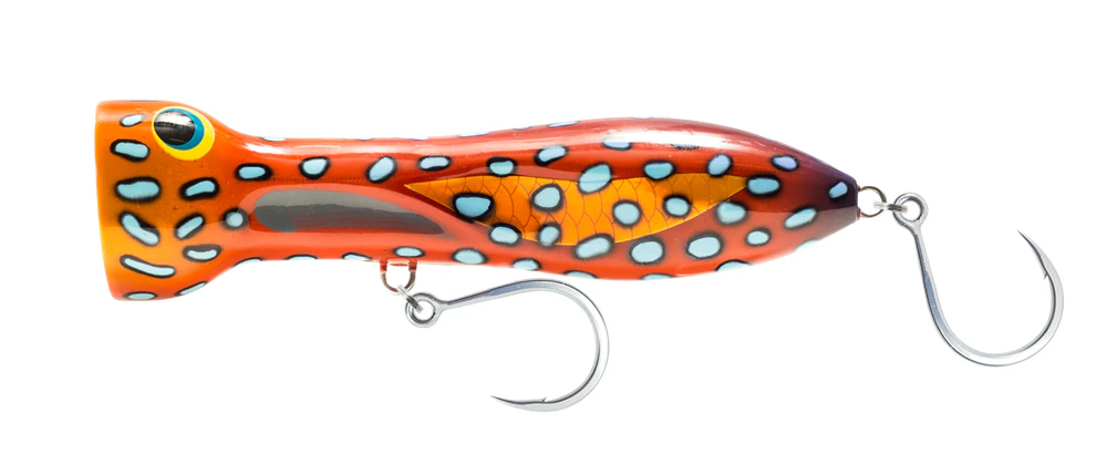 Nomad Design Chug Norris Popper 120mm Topwater Fishing Lure #Coral Trout