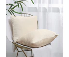 Decorative Velvet Square Cushion Throw Pillow Cover - Set of 2 - Beige