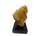 Crystal Wonderland Citrine Cluster on Wood Stand - 1