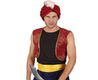 Persian Prince Aladdin Costume - Adult