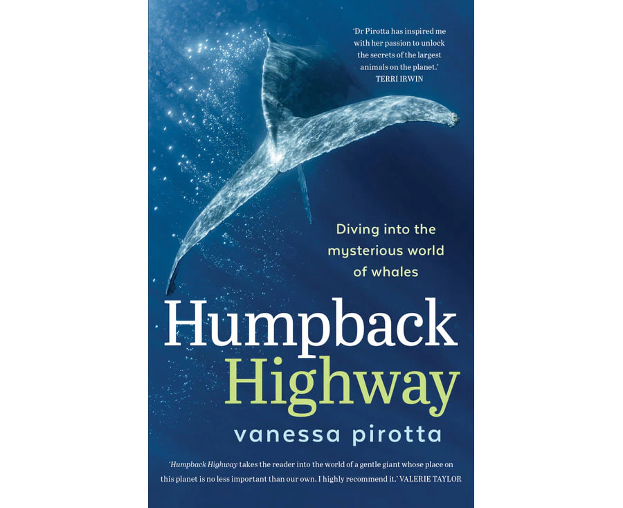 Humpback Highway : Diving into the mysterious world of whales