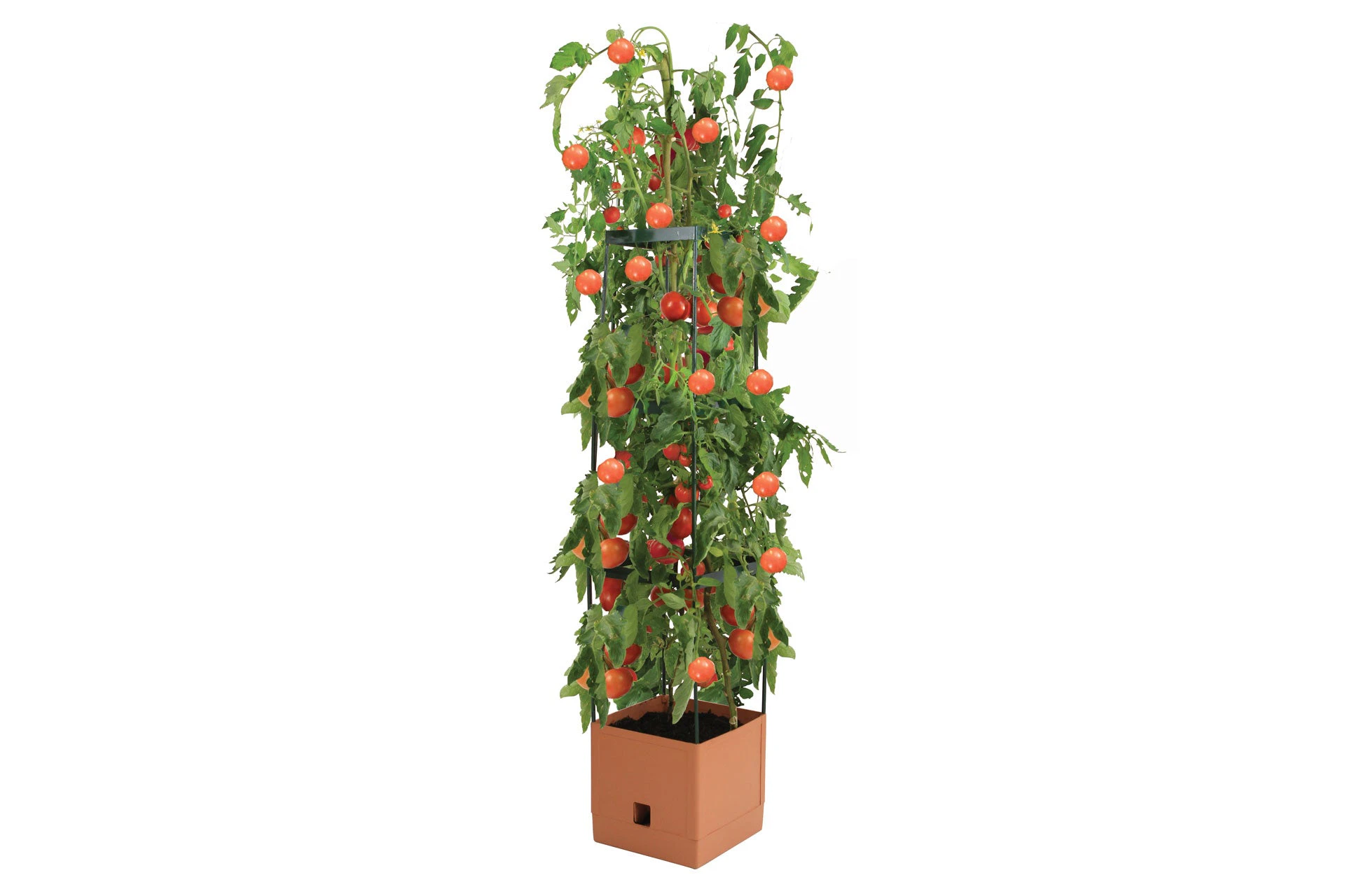 Greenlife Tomato Growing Tower 3 Tier with Self Watering Pot - Terracotta