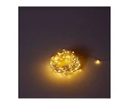E Style Luminous Bright 20m String Light Indoor/Outdoor Lighting Decor Gold