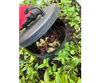 Greenlife Worm Farm In-Ground Micro Compost Tower for Gardens