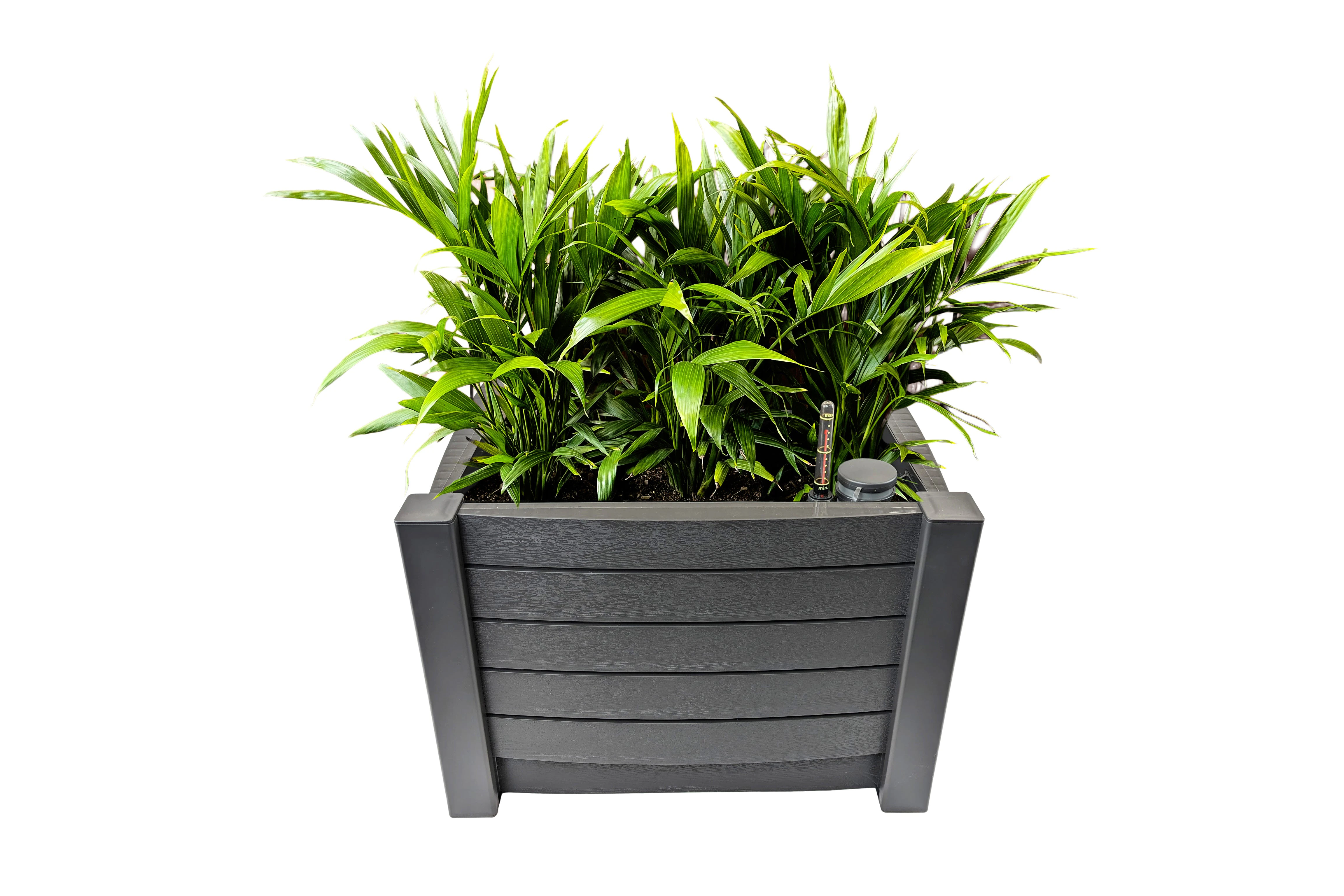 Greenlife Self-Watering Plastic Planter Box - Slate Grey 510 x 510 x 350mm