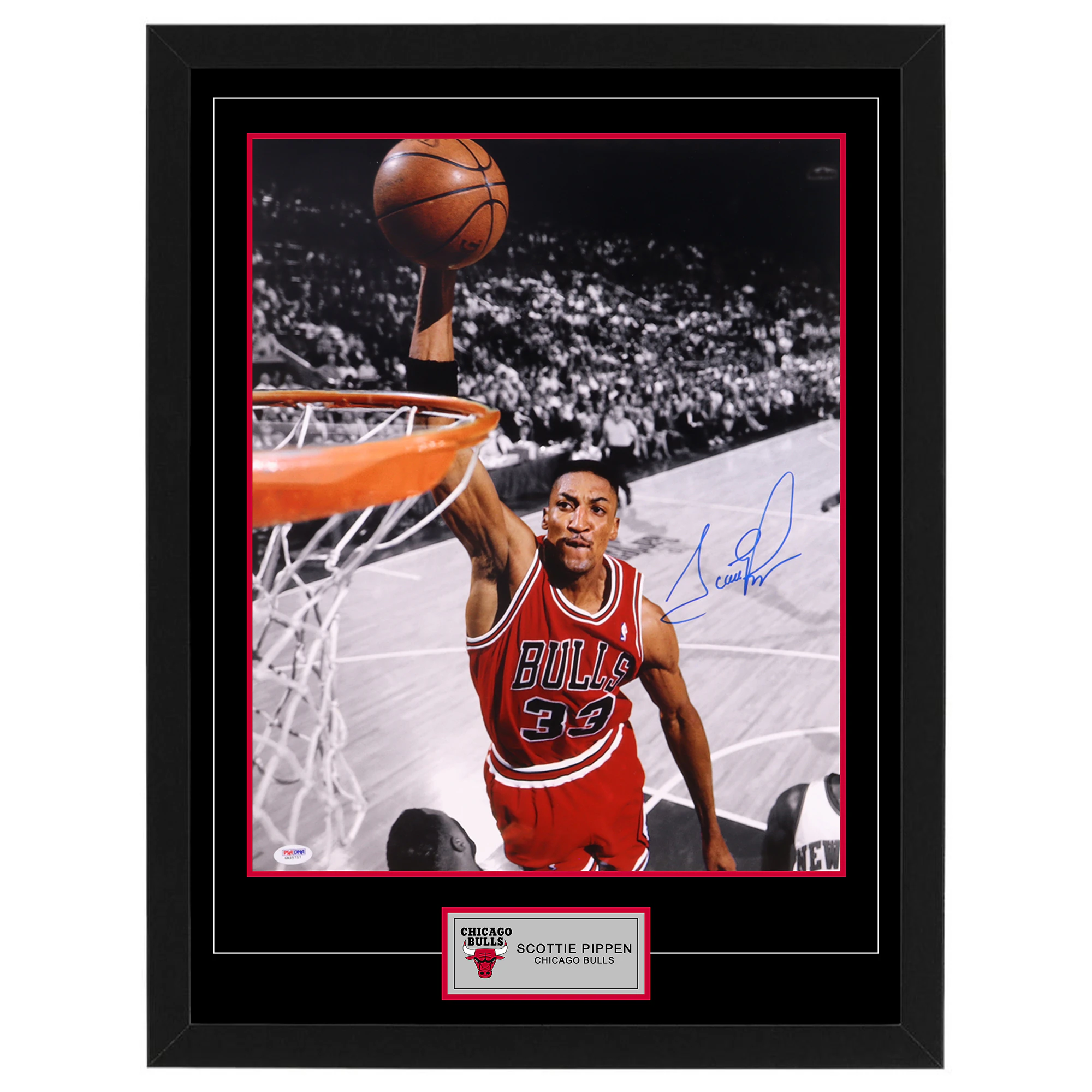 Basketball SCOTTIE PIPPEN Signed & Framed Chicago Bulls16x20 Photo (PSA COA)