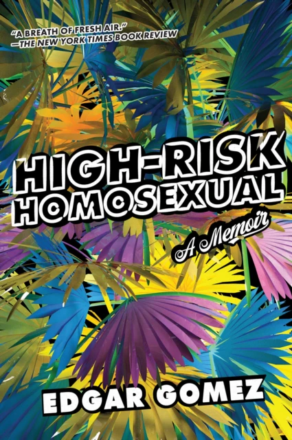 HighRisk Homosexual by Edgar Gomez