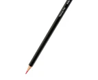 Pastel Pencils, 12 Pack - Anko