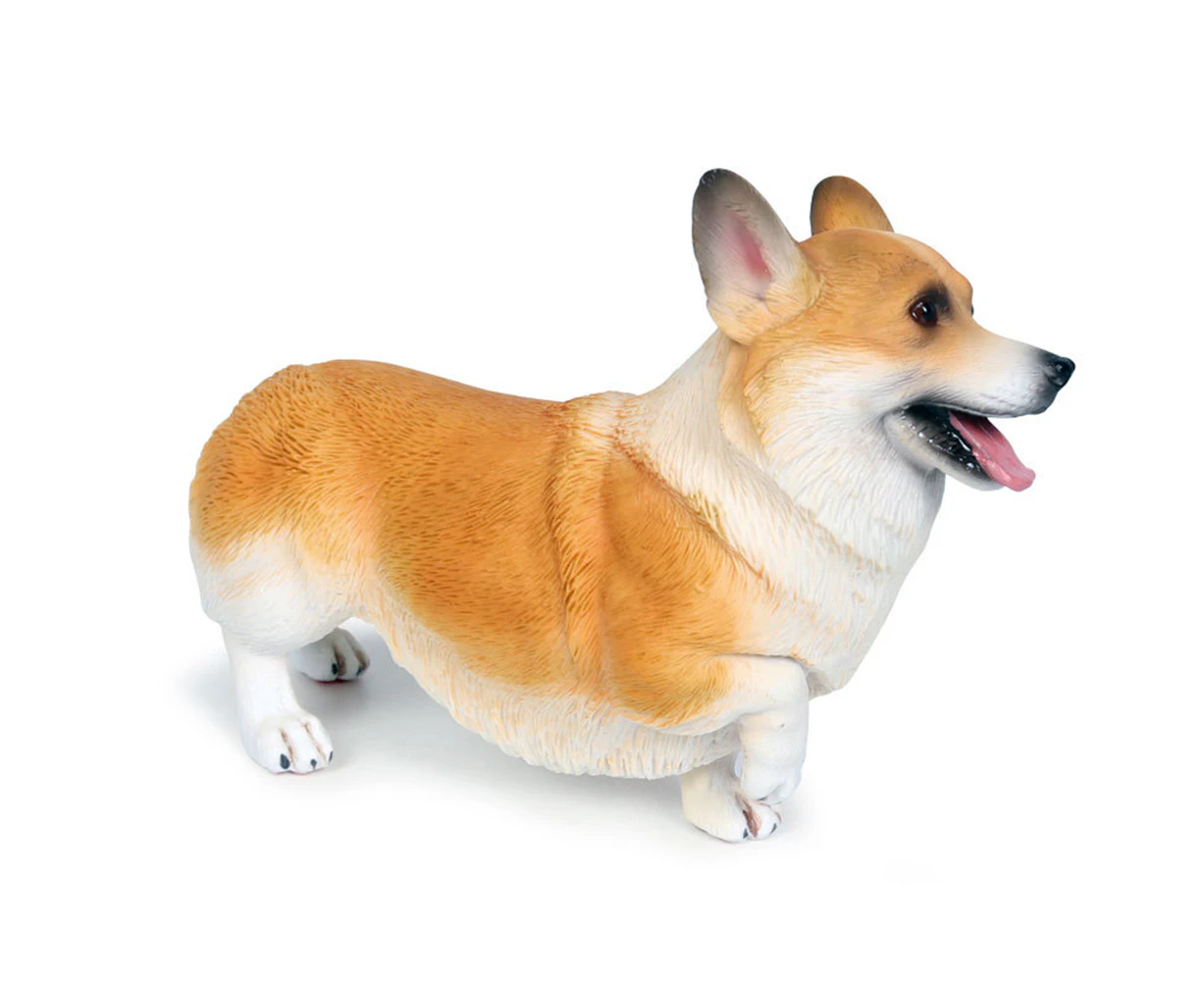 Lifelike Corgi Dog Animal Model PVC Solid Figurine Desktop Ornament Kids Toy Yellow