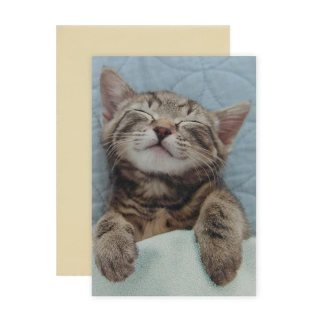 Connections from Hallmark Greeting Card - Sleepy Kitty, Warm Kitty